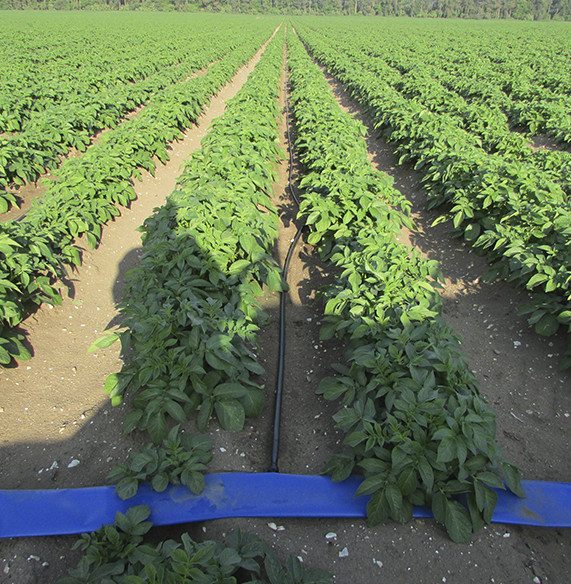 Drip Irrigation - Tech