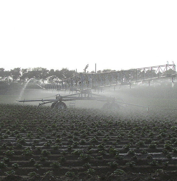 Crop - Irrigation